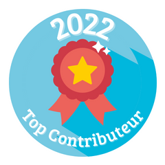 Top Contributeurs 2022