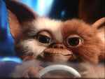 Gizmo_d.jpg