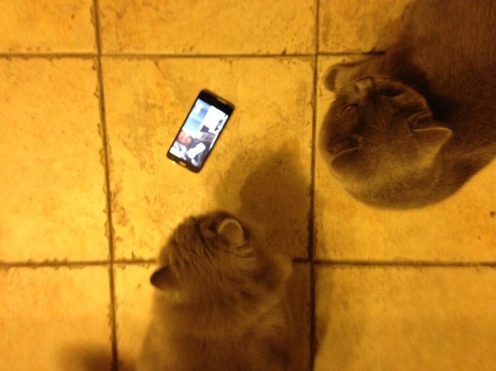 BYZ-JThIMAA9lhd.jpg large.jpg