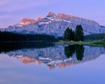 Public (ben363)