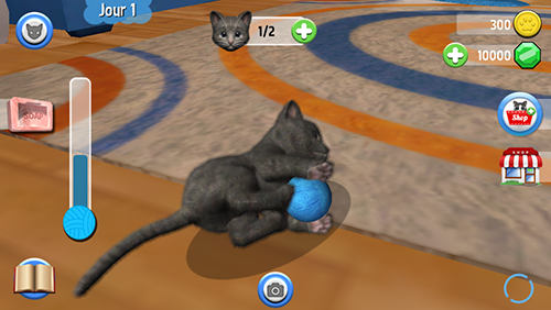chatboule.png chatboule.png