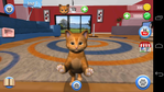 DAILY KITTEN 1.png