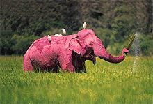 220px-Pink_Elephant.jpg