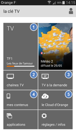appli-cle-tv-puces-explicatives.png