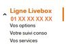 sosh-espace-client-rubriques-livebox.jpg