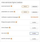 Fenêtre mes services ligne Livebox