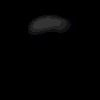 foto_36504.gif