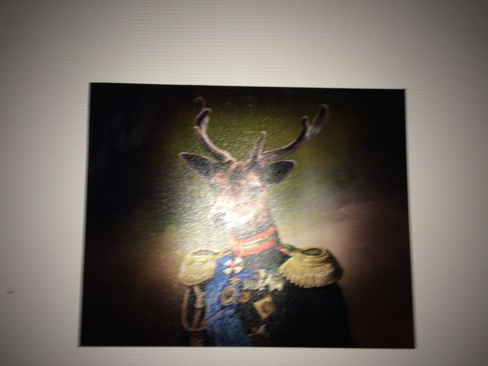 iPhone 5s tableau flash.JPG