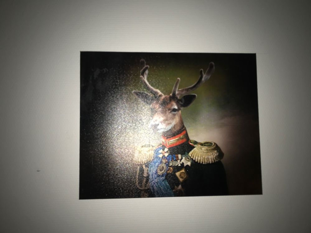 iPhone 7+ tableau flash.JPG