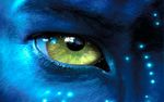 Avatar.jpg