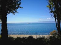 Portrait classique port