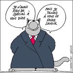 LechatRienàdire.jpg