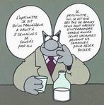 LeChatVacances.jpg