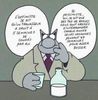 LeChatVacances.jpg