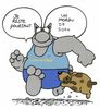 le-chat-chien.jpg
