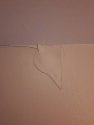 PXR_1 Installation fibre 15fevrier 2021.jpg