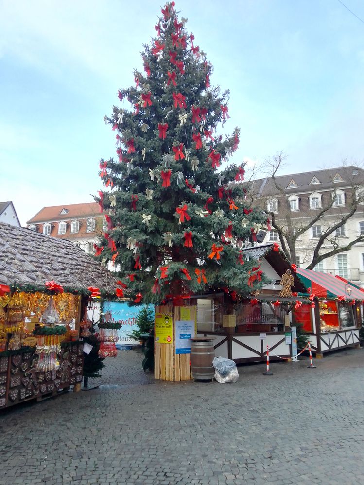 Le sapin de Noël.