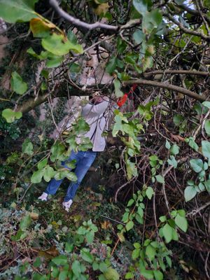Photo prise avec très peu de lumière  dans un jardin
