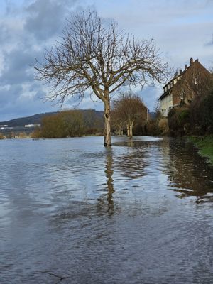 20231230_112234_115445.jpg 20231230_112234_115445.jpg