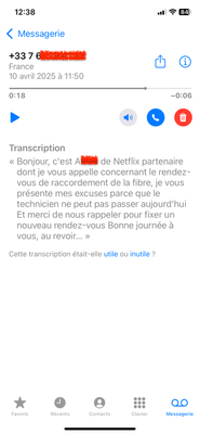 bv Netflix fibre raccord.PNG