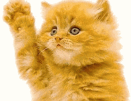 ziv_1-1775064636726.gif