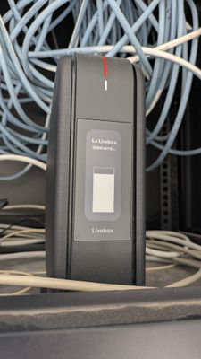 1000034959.jpg