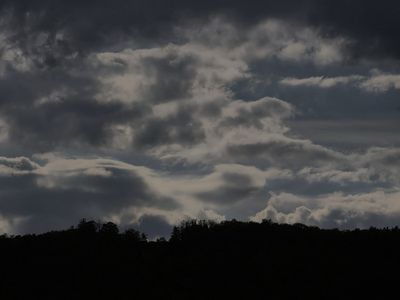 20260515_181839.jpg