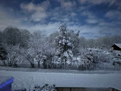 IMG_5226.jpeg