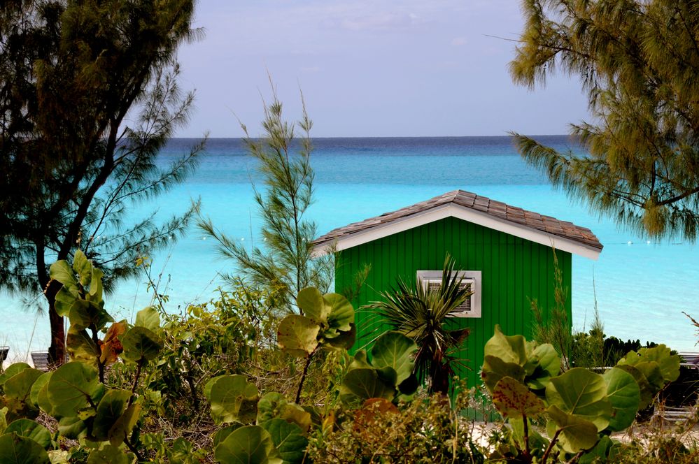 Copie de DSC_1587.JPG