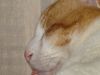 DSC00269.JPG