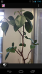 2013-03-05 17.42.24.png