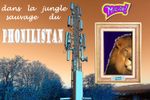 Le Mi-Lion.jpg