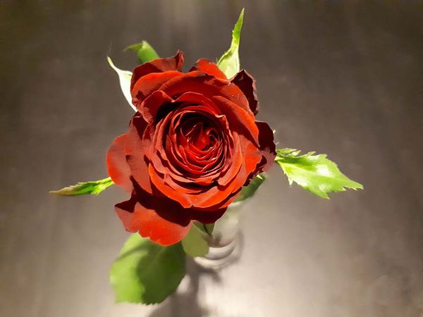 20170216_234607.jpg