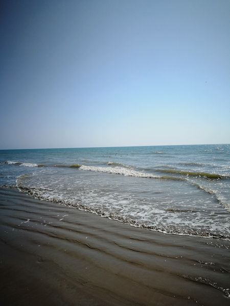 IMG_20170412_160707.jpg