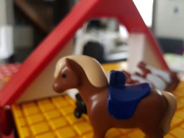 20170511_100220.jpg