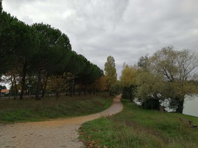 Arriere-2.jpg