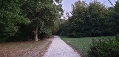 20180909_204437.jpg