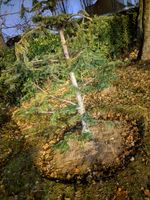 IMG_20181122_185031.jpg