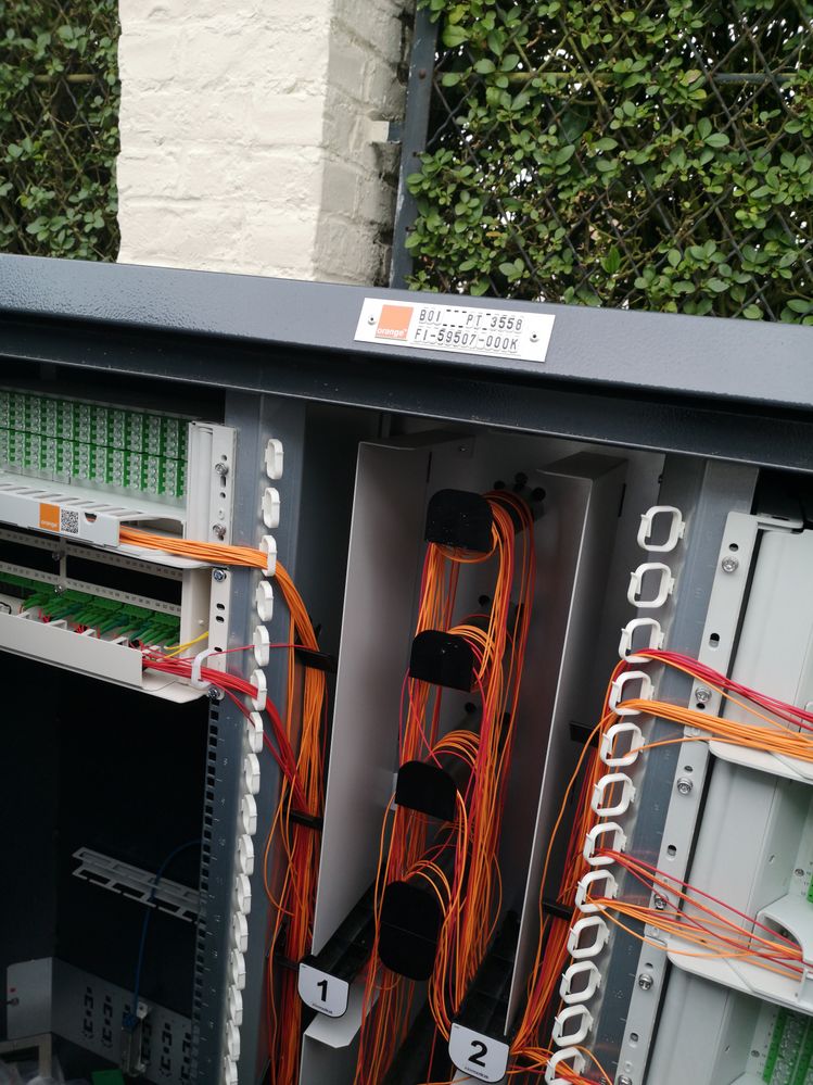OrangeFibre.jpg