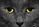 Avatar de Lully