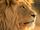 Avatar de Aslan25