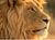 Avatar de Aslan25