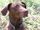 Avatar de sh54710