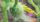 Avatar de yfl78