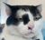 Avatar de BonjourChezVous