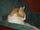 Avatar de thierry78171