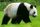 Avatar de panda30