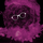 Avatar de GabrielNy